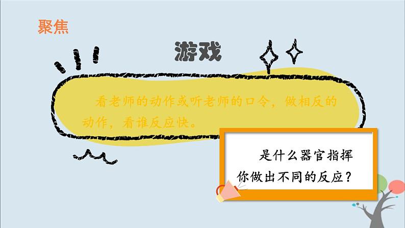 教科版五年级上册4.4《身体的“总指挥”》课件+教案02