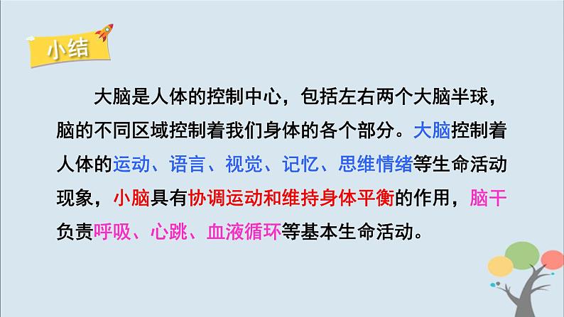 教科版五年级上册4.4《身体的“总指挥”》课件+教案08