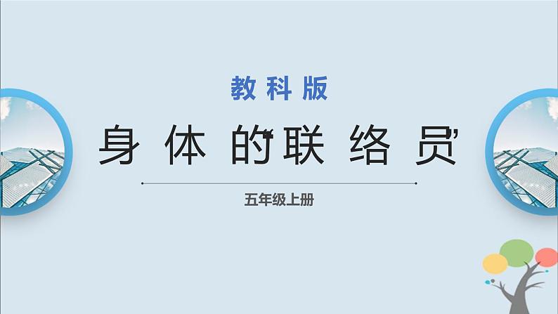 教科版五年级上册4.5《身体的“联络员”》课件+教案+素材01