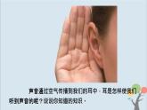 教科版四年级上册1.4《我们是怎样听到声音的》课件+教案+素材