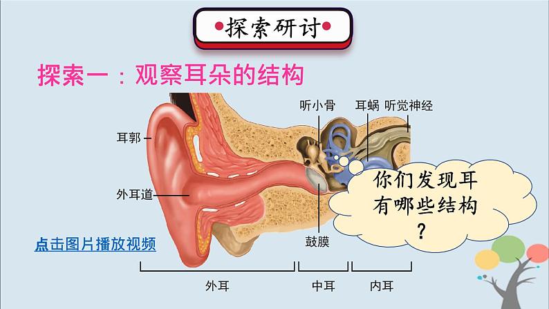 教科版四年级上册1.4《我们是怎样听到声音的》课件+教案+素材04