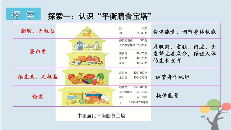 教科版四年级上册2.6《营养要均衡》课件+教案04