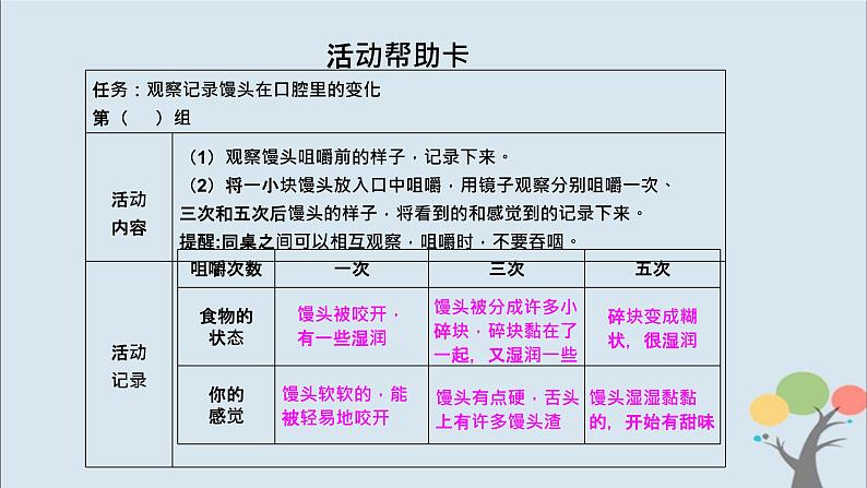 教科版四年级上册2.7《食物在口腔里的变化》课件+教案+素材04