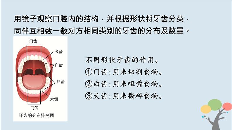 教科版四年级上册2.7《食物在口腔里的变化》课件+教案+素材07