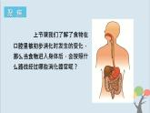 教科版四年级上册2.8《食物在身体里的旅行》课件+教案+素材