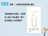 教科版四年級(jí)上冊(cè)2.8《食物在身體里的旅行》課件+教案+素材