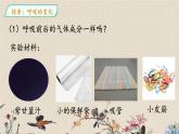 教科版四年级上册科学呼吸与消化《呼吸和健康生活》课件