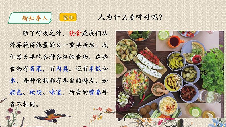 教科版四年级上册科学呼吸与消化《一天的食物》课件05