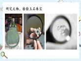 教科版六年级科学上册 一 微小世界 第1课 放大镜 课件
