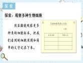 教科版六年級科學(xué)上冊 一 微小世界 第5課 觀察更多的生物細(xì)胞 課件