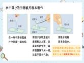 教科版六年级科学上册 一 微小世界 第6课 观察水中微小得生物 课件