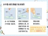 教科版六年级科学上册 一 微小世界 第6课 观察水中微小得生物 课件