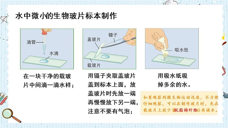 教科版六年级科学上册 一 微小世界 第6课 观察水中微小得生物 课件05