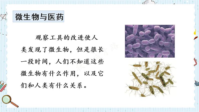 教科版六年级科学上册 一 微小世界 第7课 微生物与健康 课件第4页