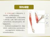 小学科学教科版五年级上册第四单元第2课《身体的运动》课件3（2021新版）
