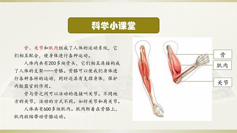 小学科学教科版五年级上册第四单元第2课《身体的运动》课件3（2021新版）03