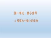 小学科学教科版六年级上册第一单元第6课《观察水中微小的生物》课件（2021版）