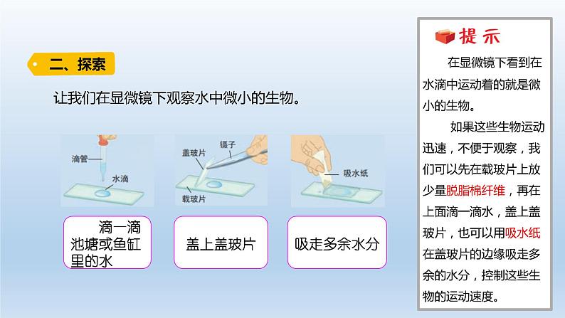 小学科学教科版六年级上册第一单元第6课《观察水中微小的生物》课件（2021版）03
