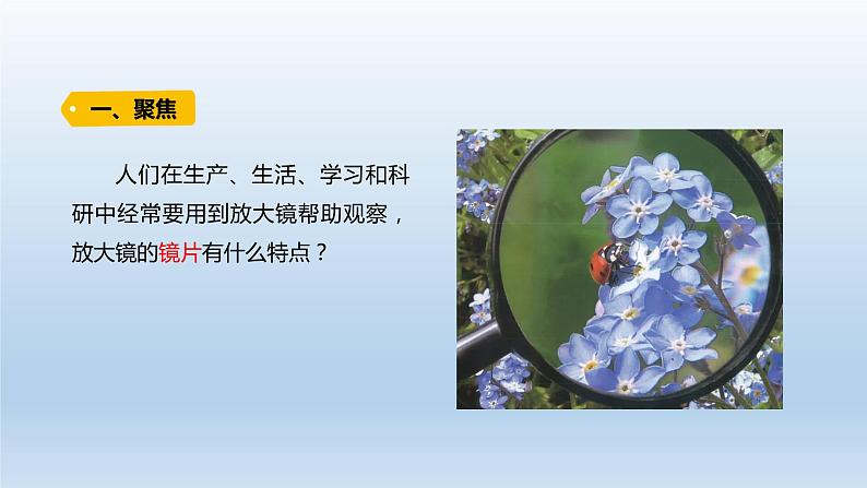 小学科学教科版六年级上册第一单元第1课《放大镜》课件（2021版）第2页