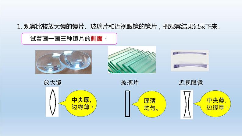 小学科学教科版六年级上册第一单元第1课《放大镜》课件（2021版）第4页