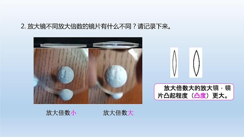 小学科学教科版六年级上册第一单元第1课《放大镜》课件（2021版）第5页