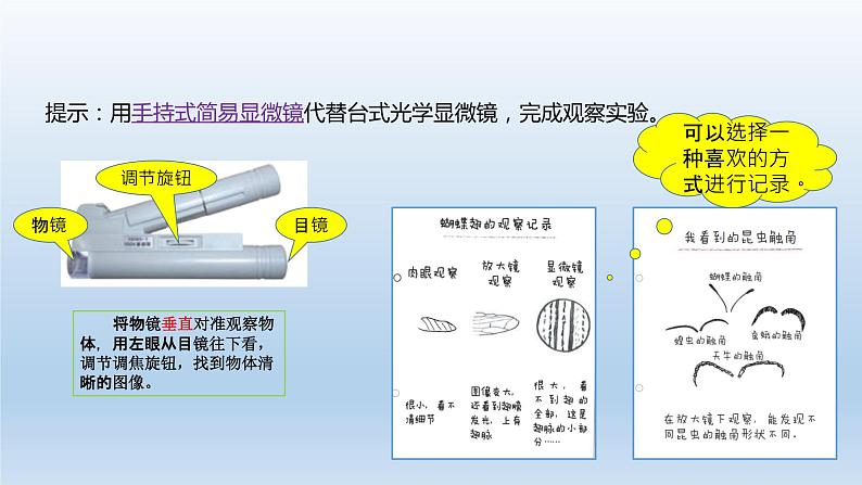 小学科学教科版六年级上册第一单元第3课《观察身边的微小物体》课件（2021版）第5页