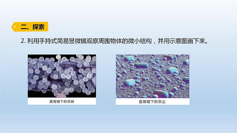 小学科学教科版六年级上册第一单元第3课《观察身边的微小物体》课件（2021版）第6页