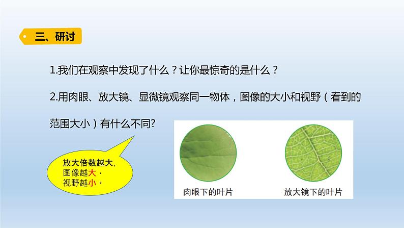 小学科学教科版六年级上册第一单元第3课《观察身边的微小物体》课件（2021版）第7页