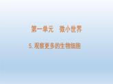 小学科学教科版六年级上册第一单元第5课《观察更多的生物细胞》课件（2021版）