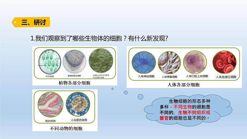 小学科学教科版六年级上册第一单元第5课《观察更多的生物细胞》课件（2021版）第5页