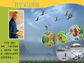 教科版科学三年级上册第一单元 第1课 水到哪里去了课件+教案+素材