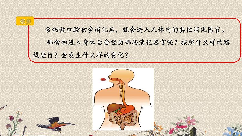 教科版四年级上册科学呼吸与消化《食物在身体里的旅行》课件第3页