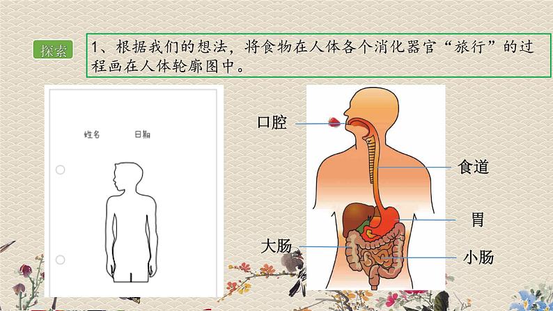 教科版四年级上册科学呼吸与消化《食物在身体里的旅行》课件第4页