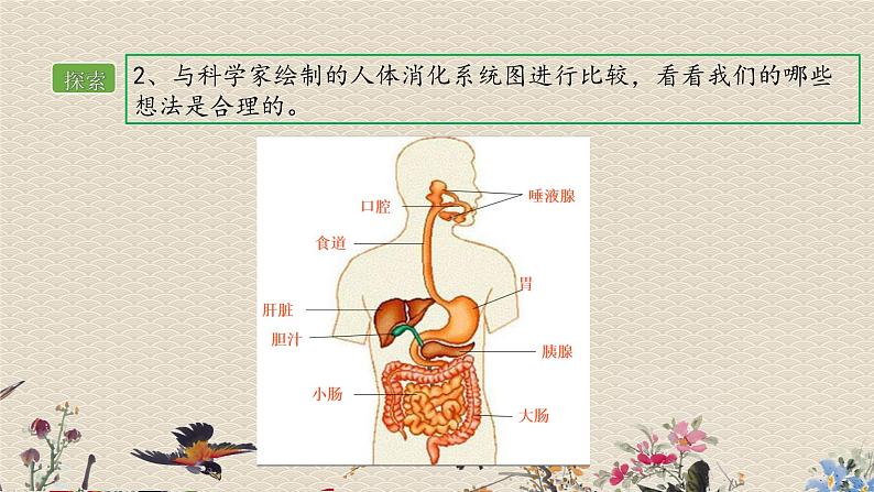 教科版四年级上册科学呼吸与消化《食物在身体里的旅行》课件第5页