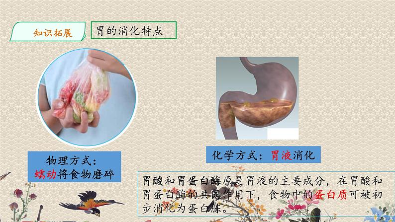 教科版四年级上册科学呼吸与消化《食物在身体里的旅行》课件第8页