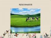教科版二年级上册科学  我们的地球家园《地球家园中有什么》课件