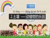教科版二年级上册科学  我们的地球家园《土壤---动植物的乐园》课件