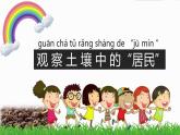 教科版二年级上册科学  我们的地球家园《土壤---动植物的乐园》课件