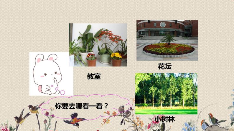 教科版一年级上册科学   植物《校园里的植物》课件03