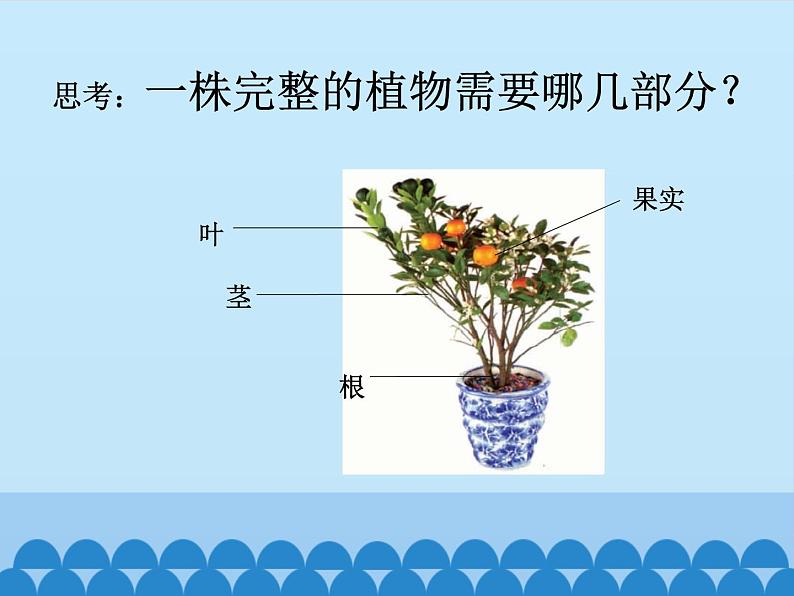 教科版小学科学一年级上册 科学阅读-我们离不开植物 课件02