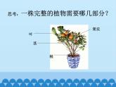 教科版小学科学一年级上册 科学阅读-我们离不开植物 课件