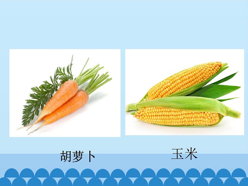 教科版小学科学一年级上册 科学阅读-我们离不开植物 课件06