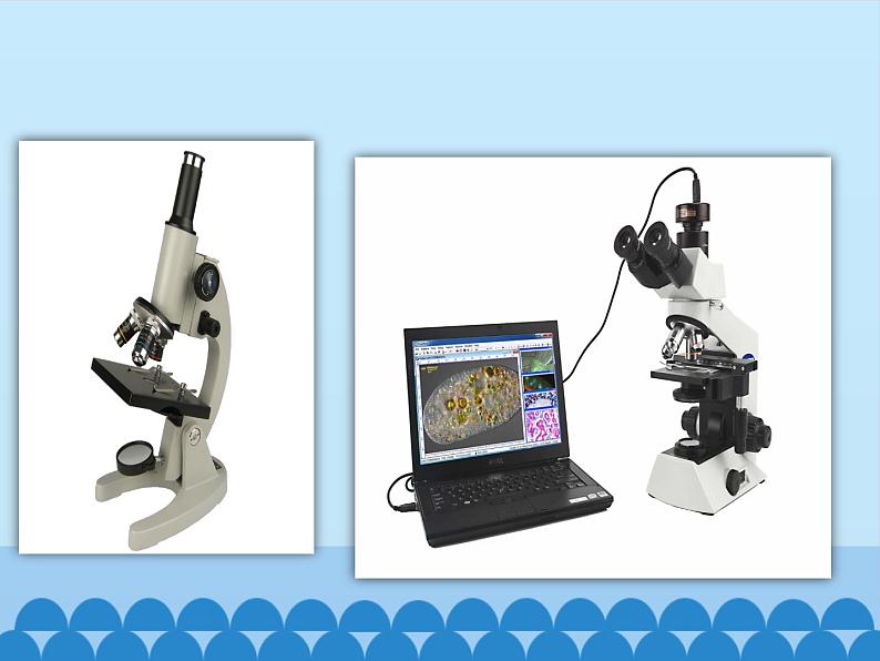 一年级上册科学 6.借助工具观察_课件 苏教版第6页