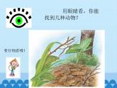 一年級上冊科學(xué) 4.認(rèn)識(shí)感官_課件 蘇教版