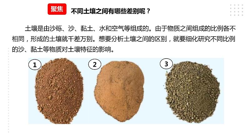 3.7比较不同的土壤  课件第3页