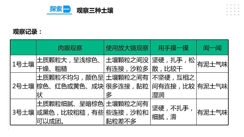 3.7比较不同的土壤  课件第5页