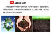 3.6观察土壤 课件（22张PPT）+教案+试题+素材