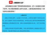 3.6观察土壤 课件（22张PPT）+教案+试题+素材