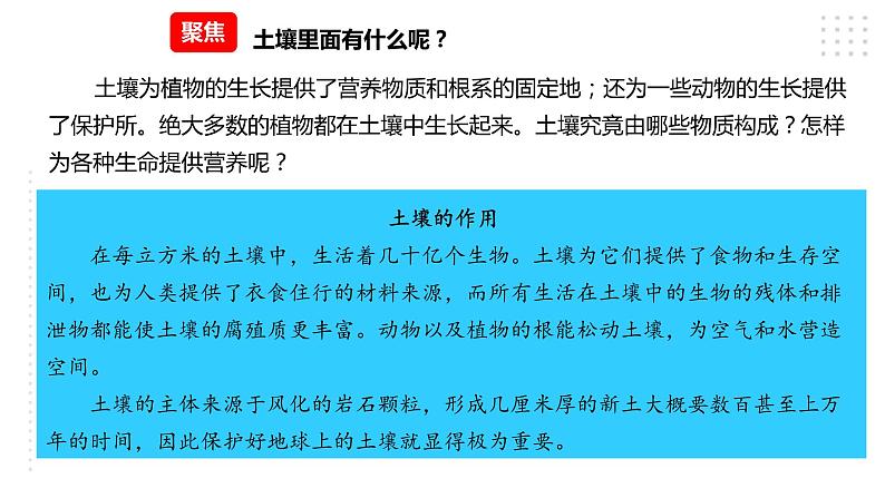 3.6观察土壤 课件（22张PPT）+教案+试题+素材03