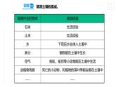 3.6观察土壤 课件（22张PPT）+教案+试题+素材
